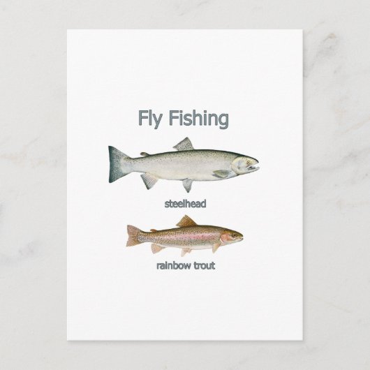 Carte Postale Pêche à la mouche truite arc-en-ciel - truite arc- (Devant)