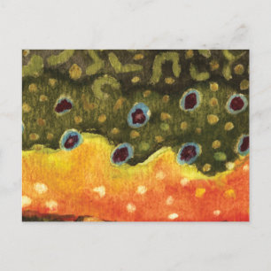 Carte Postale Pêche à la truite