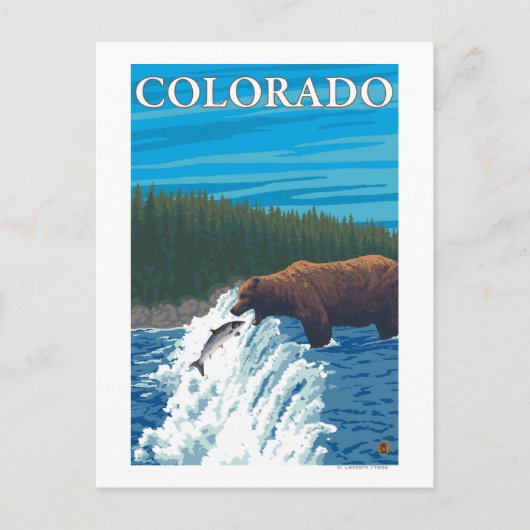 Carte Postale Pêche à l'oursColorado (Devant)