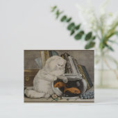 Carte Postale Pêche au chat perse (Debout devant)