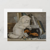 Carte Postale Pêche au chat perse (Devant / Derrière)