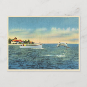 Carte Postale Pêche au tarpon en Floride vintage