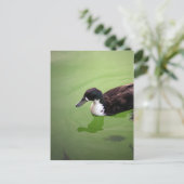 Carte Postale Pêche avec canards (Debout devant)