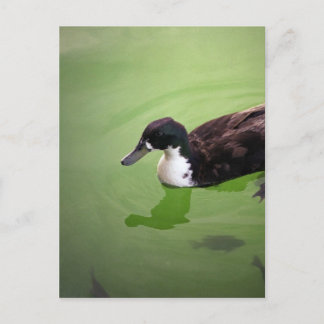 Carte Postale Pêche avec canards