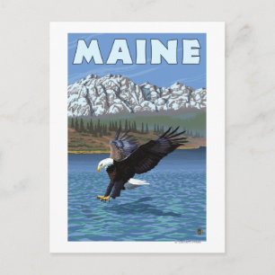 Carte Postale Pêche de l'aigle du Maine