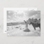 Carte Postale Pêche de mouche de Frances Phelps Belden en (Devant / Derrière)