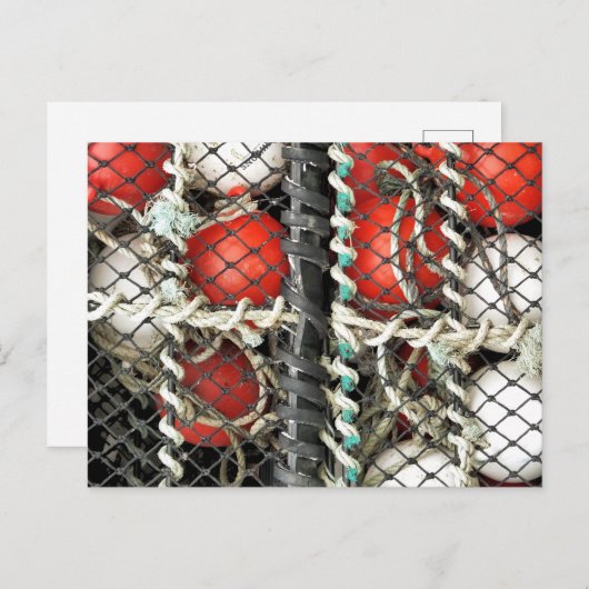 CARTE POSTALE PÊCHE EN MER (Devant / Derrière)