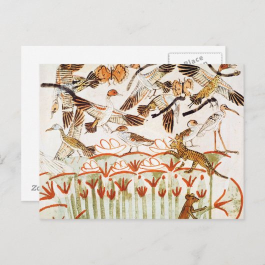 Carte Postale Pêche et baignade dans les marais (Devant / Derrière)