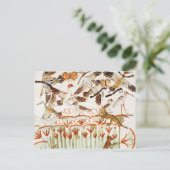 Carte Postale Pêche et baignade dans les marais (Debout devant)