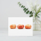 Carte Postale Pêche Saturne (Debout devant)