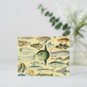 Carte Postale Pêche scientifique vintage (Debout devant)