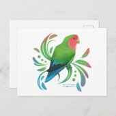 Carte Postale Pêche verte face à l'oiseau (Devant / Derrière)