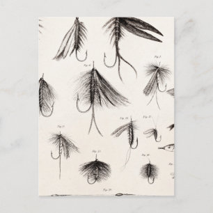 Carte Postale Pêche vintage 1800 Pêche à la ligne Mouches vieill