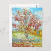 Carte Postale Pêcher en fleurs à Arles, Van Gogh (Devant / Derrière)