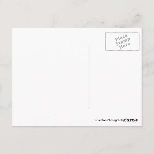 Carte Postale Pécher plus souvent (Dos)