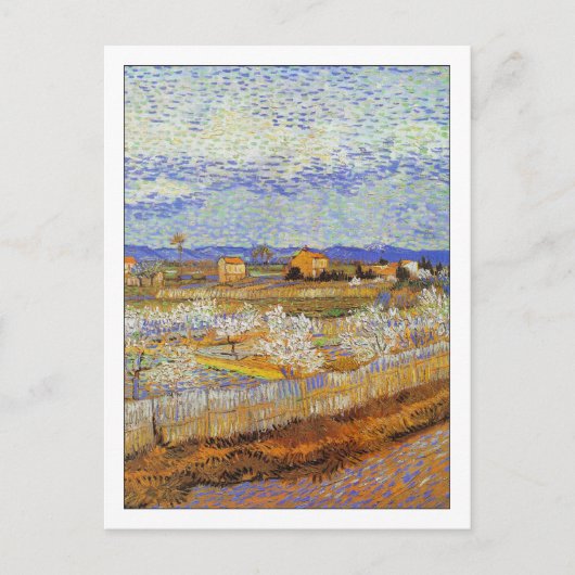 Carte Postale Pêchers dans la fleur par Van Gogh (Devant)