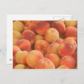 Carte Postale pêches biologiques (Devant / Derrière)