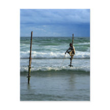 Pêcheur à bâtons du Sri Lanka