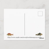 Carte Postale Pêcheur de poissons Tropical Poisson Océan Pêche E (Dos)