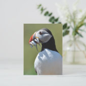 Carte Postale Pêcheur de Puffin (Debout devant)
