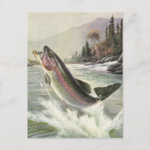 Carte Postale Pêcheur vintage de truite arc-en-ciel Pêche du poi