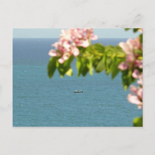 Carte Postale Pecheurs au Travail - Martinique, FWI (Devant)