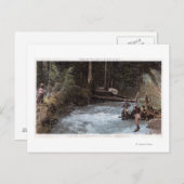 Carte Postale Pêcheurs Pêche à Commonwealth Creek (Devant / Derrière)