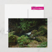 Carte Postale Pedra Caída - Carolina/MA (Devant / Derrière)