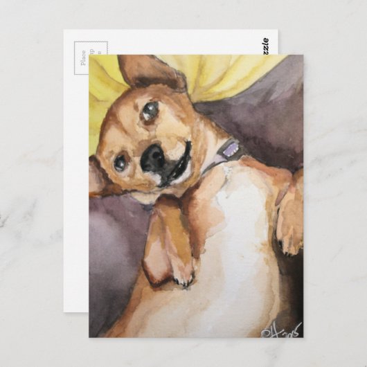 Carte Postale Pedro la Chiweenie (Devant / Derrière)