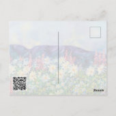 Carte postale Peek-a-Bear de l'Alaska (Dos)