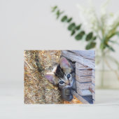 Carte Postale Peek-a-Boo (Debout devant)