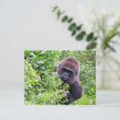 Carte postale Peek-A-Boo Gorilla (Debout devant)