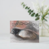 Carte Postale Peek-A-Boo I Miss You Siamese Kitten Under Blanket (Debout devant)