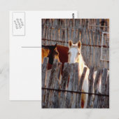 Carte Postale Peekaboo Paint (Devant / Derrière)