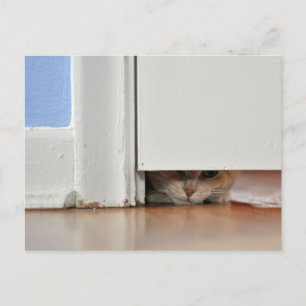 Carte Postale Peeking Kitty