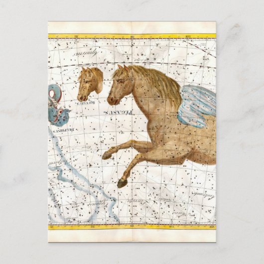 Carte Postale Pegasus (Devant)
