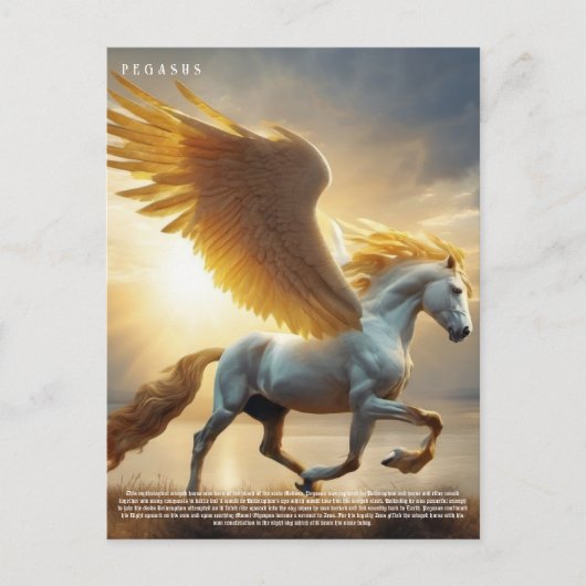 Carte Postale Pegasus (Devant)