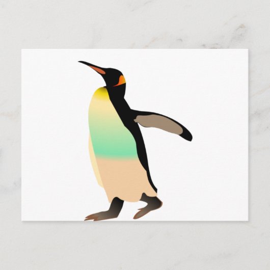 Carte Postale Peguin coloré (Devant)