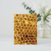 Carte Postale Peigne (Debout devant)