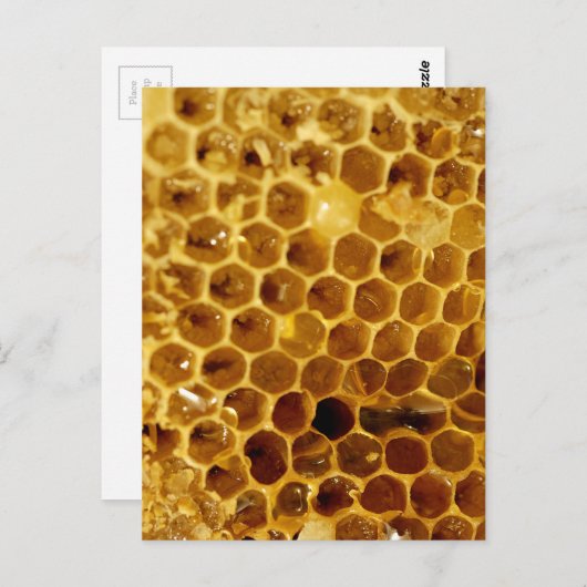 Carte Postale Peigne (Devant / Derrière)