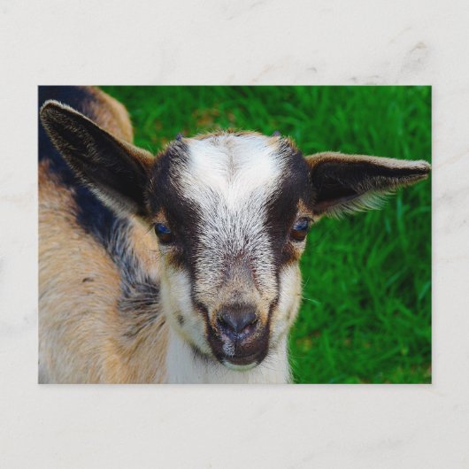 Carte Postale Peindre (Devant)