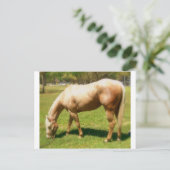 Carte Postale Peindre (Debout devant)