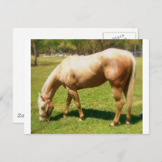 Carte Postale Peindre (Devant / Derrière)