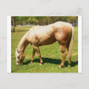 Carte Postale Peindre