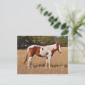 Carte Postale Peindre (Debout devant)