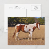 Carte Postale Peindre (Devant / Derrière)