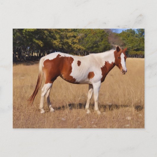 Carte Postale Peindre (Devant)