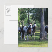 Carte Postale Peindre les chevaux dans les arbres (Devant / Derrière)