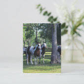 Carte Postale Peindre les chevaux dans les arbres (Debout devant)