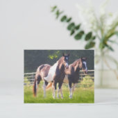 Carte Postale Peindre Les Chevaux En Pâturage (Debout devant)